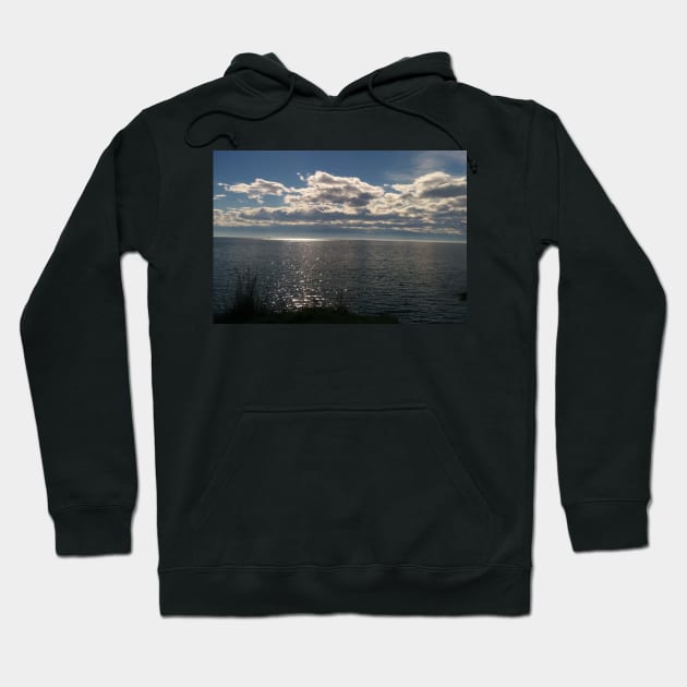 Pacific Afternoon by the water Hoodie by ReignyNightz